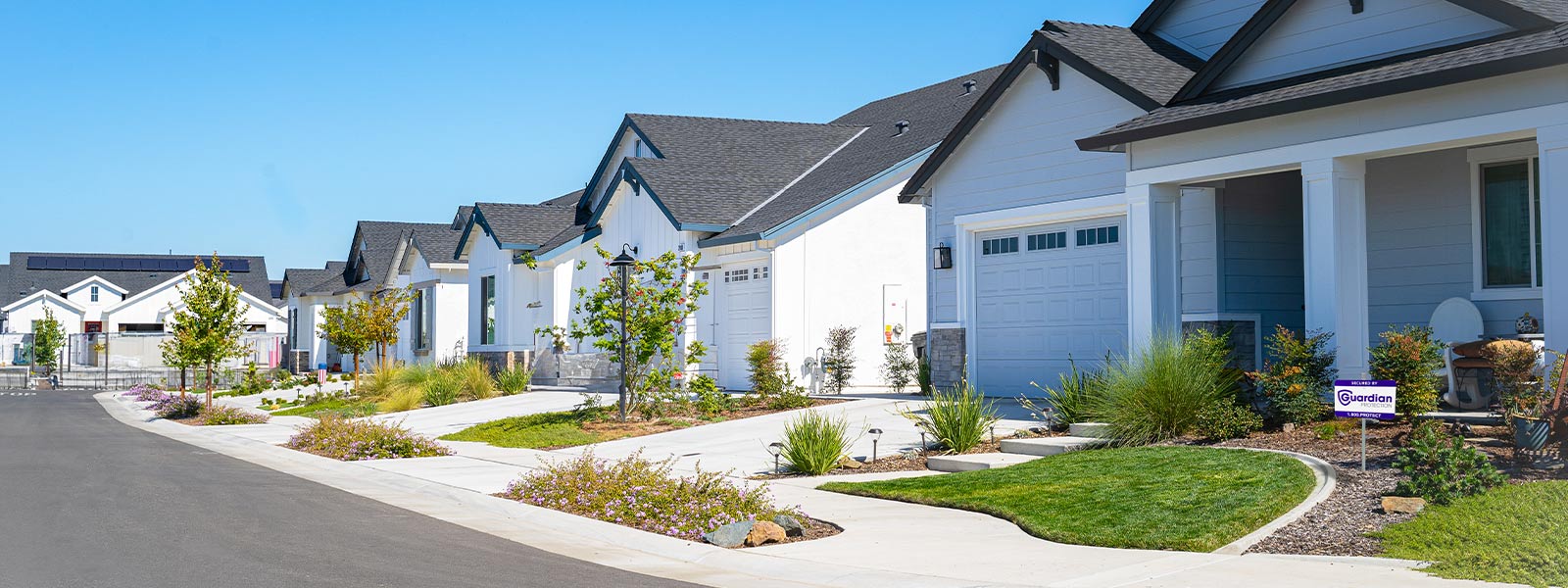 Row of homes on a residential street with yard signs for Guardian Protection home security