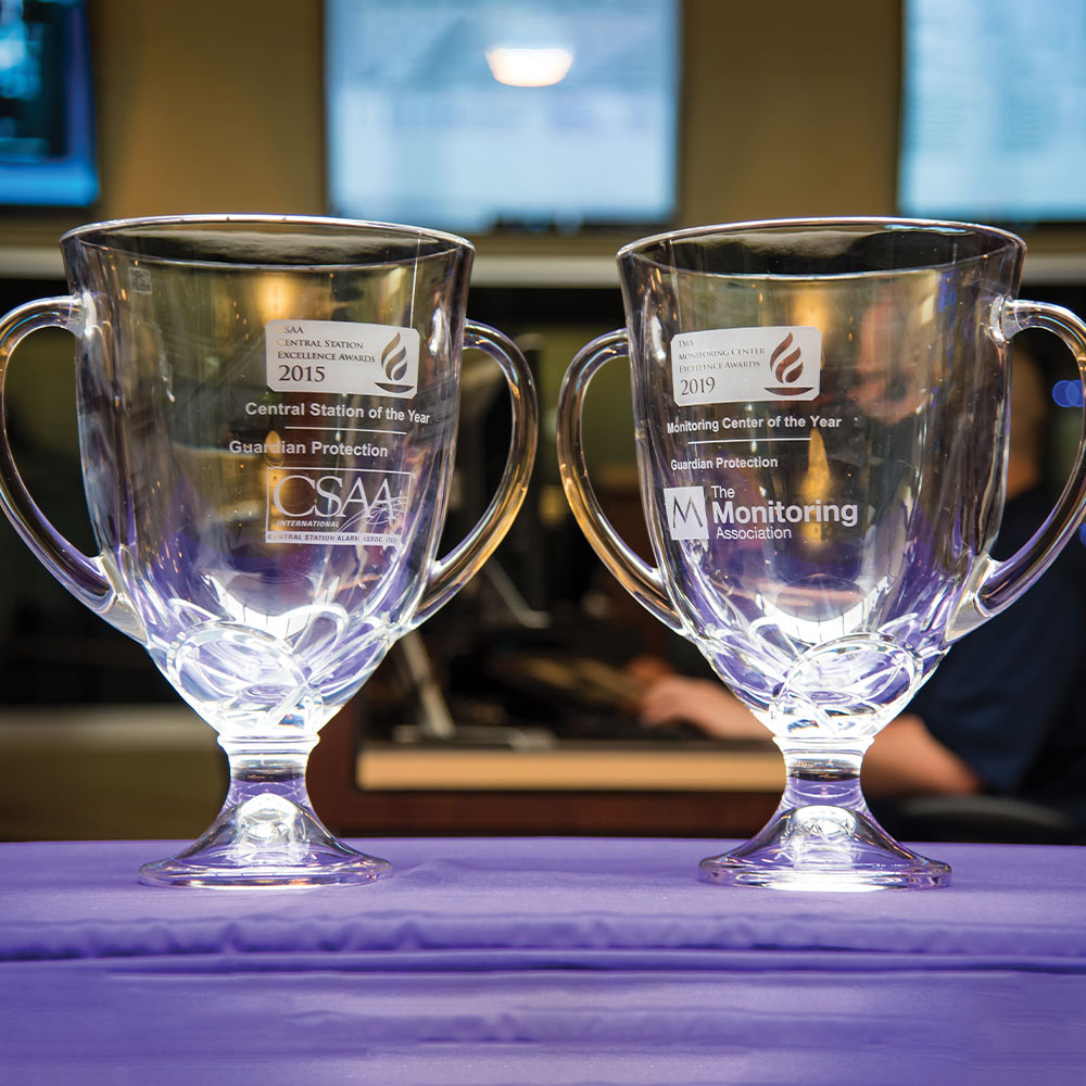 Two trophies from The Monitoring Association