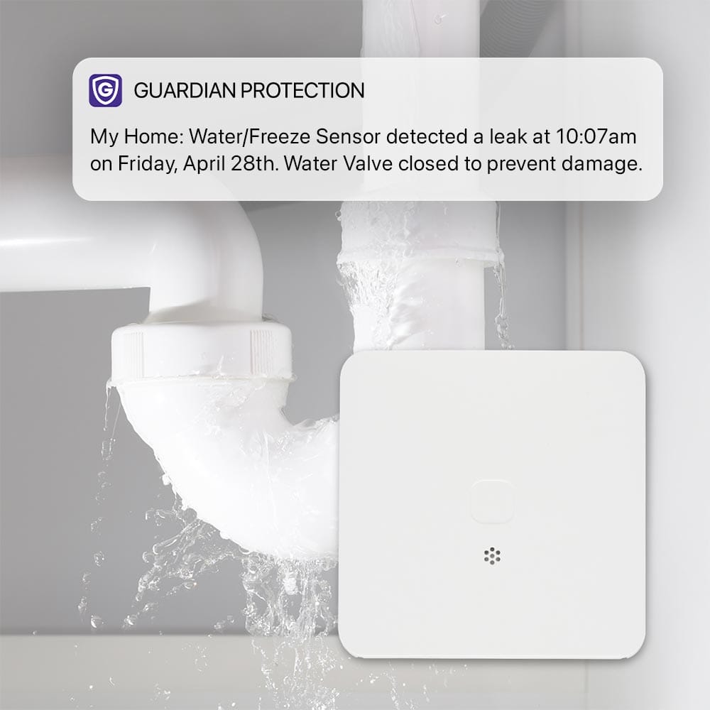 Guardian Protection Water & Freeze Sensor and app notification